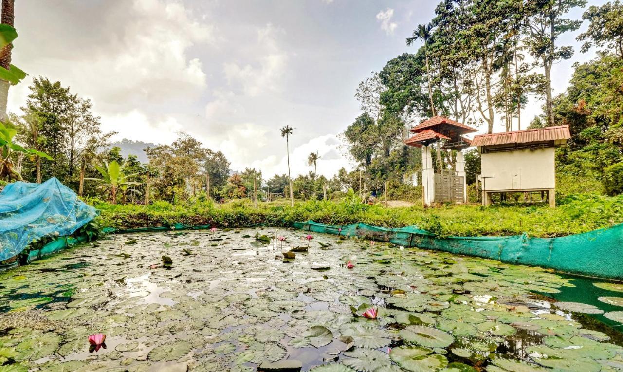 Treebo Tryst Jathika Resorts Kozhikode Exteriör bild