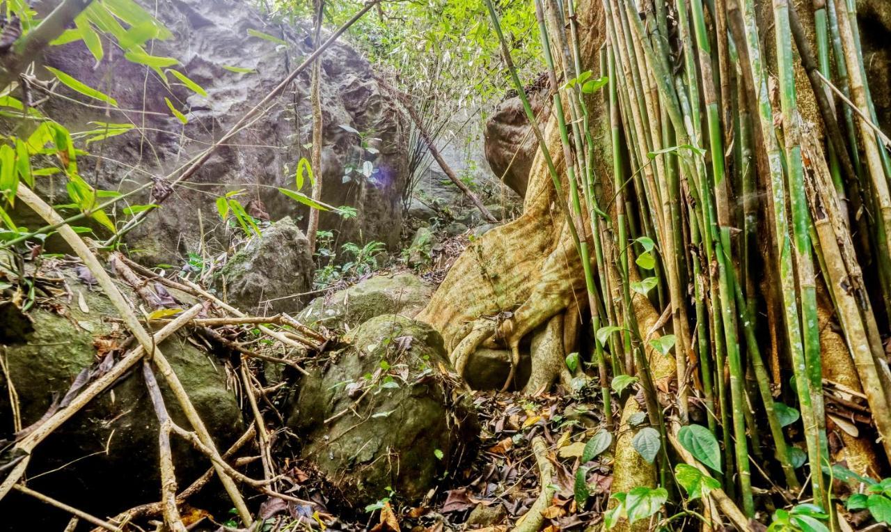Treebo Tryst Jathika Resorts Kozhikode Exteriör bild