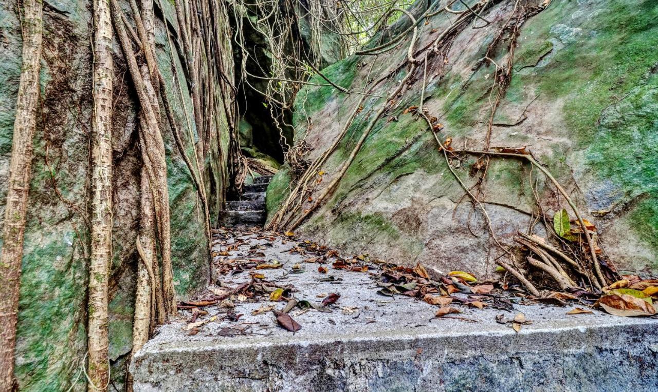 Treebo Tryst Jathika Resorts Kozhikode Exteriör bild