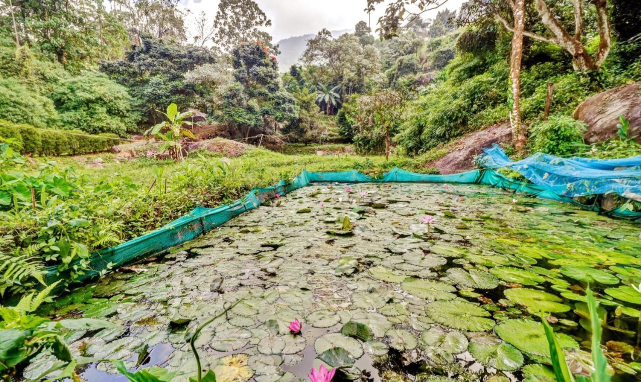 Treebo Tryst Jathika Resorts Kozhikode Exteriör bild