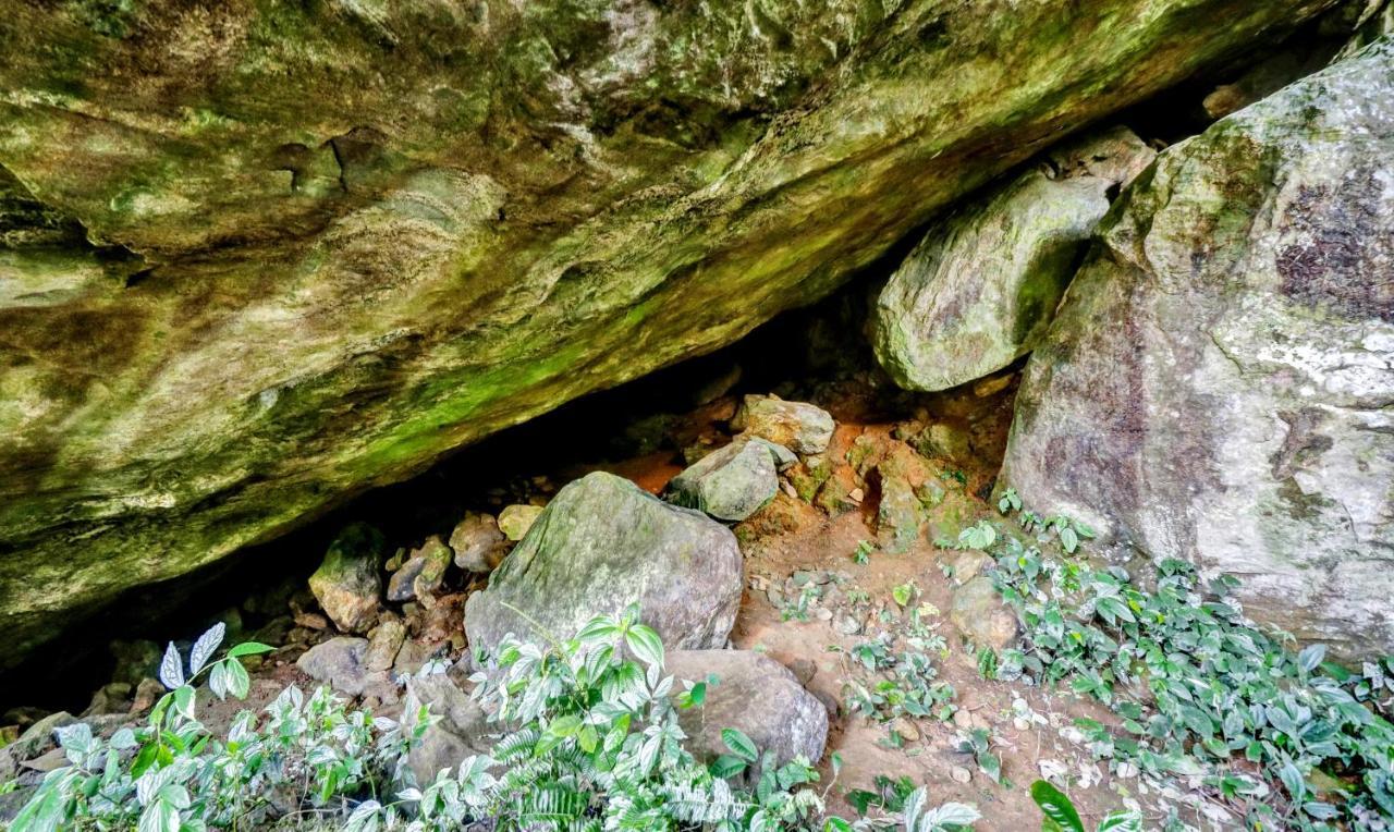 Treebo Tryst Jathika Resorts Kozhikode Exteriör bild