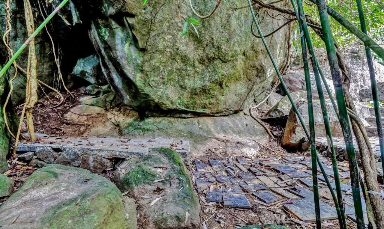 Treebo Tryst Jathika Resorts Kozhikode Exteriör bild