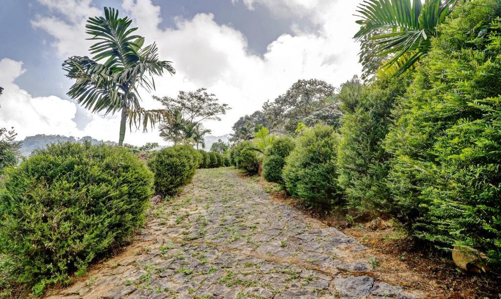 Treebo Tryst Jathika Resorts Kozhikode Exteriör bild