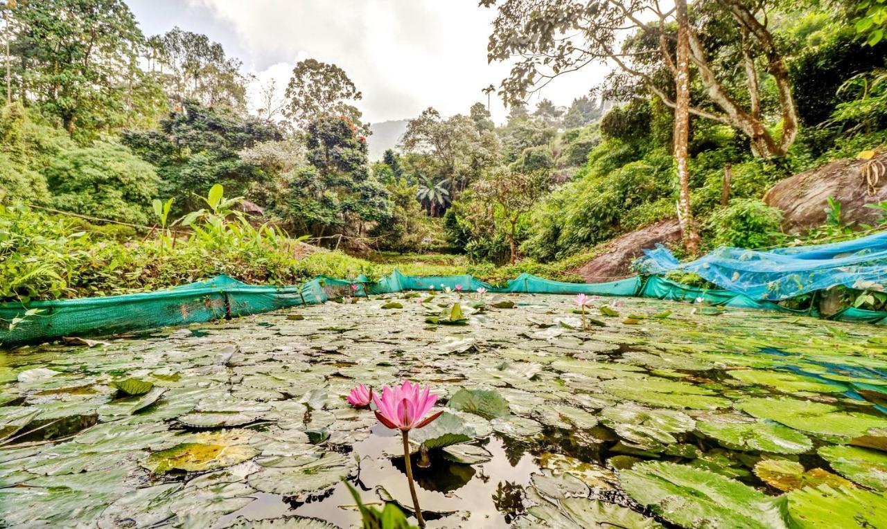 Treebo Tryst Jathika Resorts Kozhikode Exteriör bild