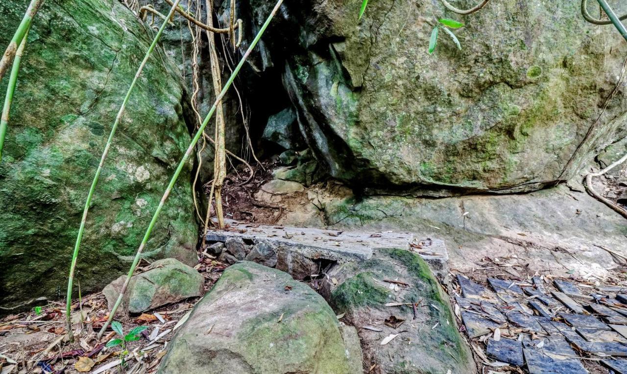 Treebo Tryst Jathika Resorts Kozhikode Exteriör bild
